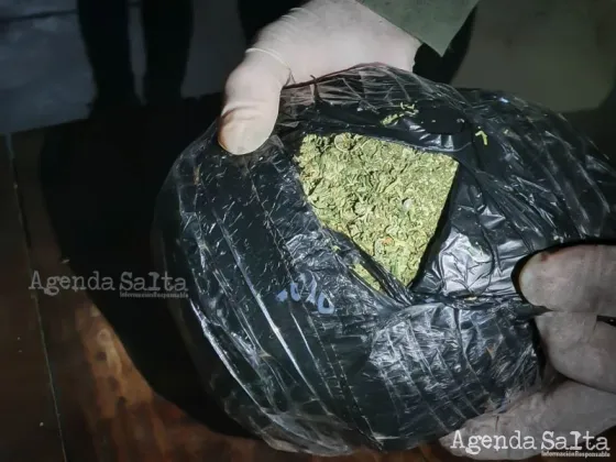 “NO ERA YERBA” Salteños fueron detenidos con una bolsa de Marihuana