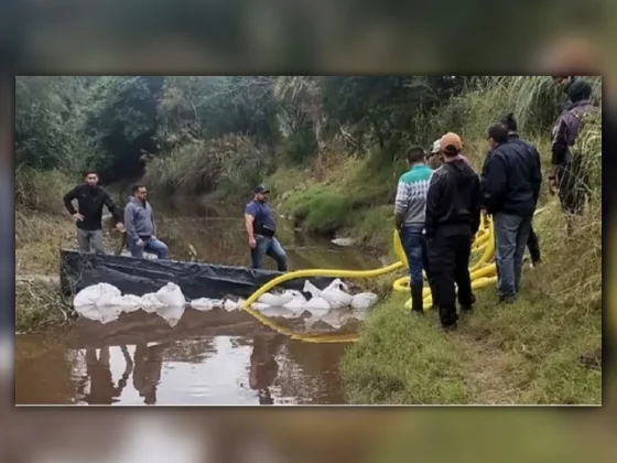 Caso Cecilia Strzyzowski: uno de los restos óseos encontrados en el campo de los Sena es humano