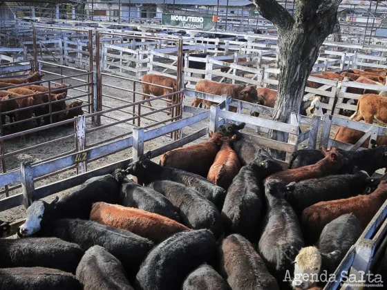 El presidente de la Sociedad Rural aseguró que "el nuevo Gobierno genera mucha expectativa"