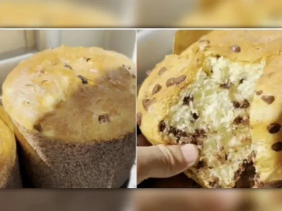 Pan dulce en licuadora: una manera más fácil y práctica de hacer esta receta clásica de las fiestas