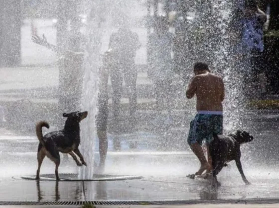 Rige hoy alerta por temperaturas extremas y calor en 11 provincias, entre ellas Salta