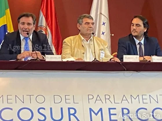 Olmedo fue electo presidente del Parlasur