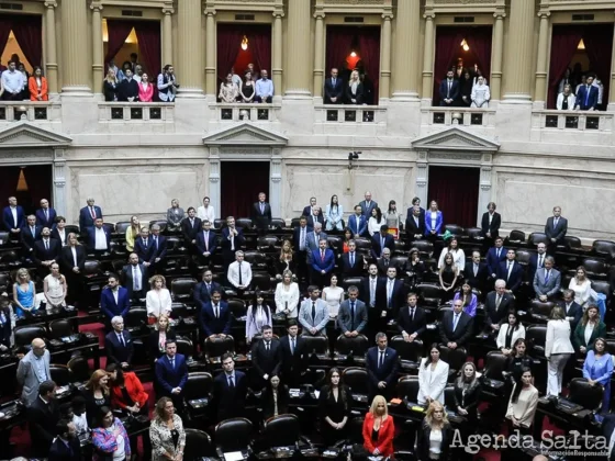 Salta ganaría una banca en la Cámara de Diputados con la reforma que propone Javier Milei