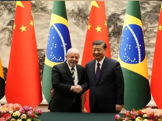 Brasil cedió a China infraestructuras eléctricas, cuotas de mercado e incluso su producción agrícola