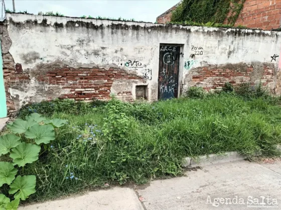 El domicilio se encuentra en Juan de la Zerda 220, de la capital salteña