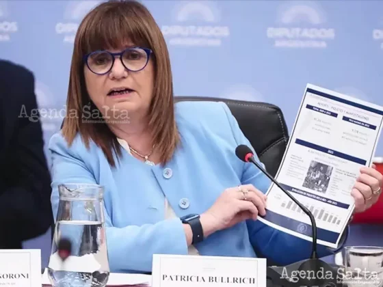 Patricia Bullrich, ministra de Seguridad (Fotos: Franco Fafasuli)