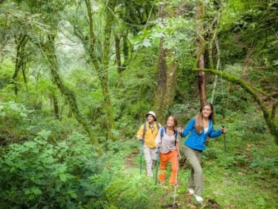 Salta te invita a disfrutar de una gran variedad de experiencias turísticas