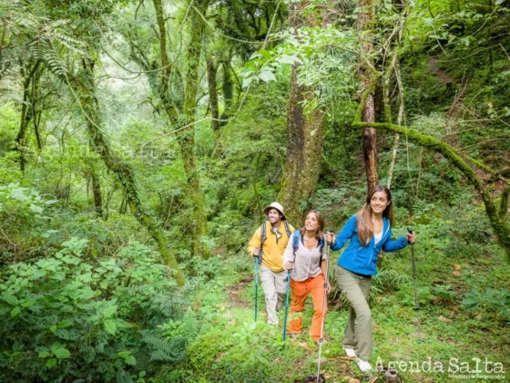 Naturaleza, cultura, arte y festivales, la oferta salteña en estas vacaciones es muy grande.