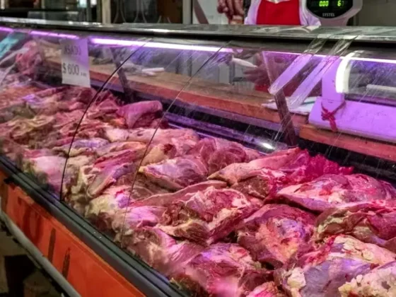 Baja el precio de la carne: cuánto sale ahora y por qué