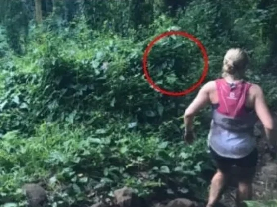 Corría en la selva, le tomaron imágenes y captaron un "fantasma hawaiano"