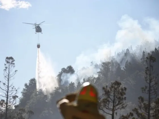 Brigadistas luchan para controlar un incendio forestal en Chubut