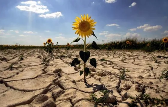 El calor y la falta de lluvias reviven el mal recuerdo de la sequía