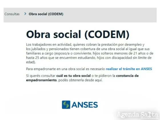 Codem de Anses: qué es y cómo solicitarlo