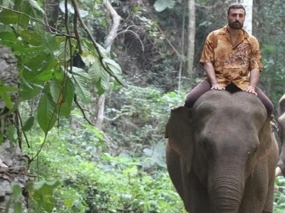 Escándalo: mientras la provincia paga con cuasimonedas, el hijo de un ministro pasea en elefante por Tailandia