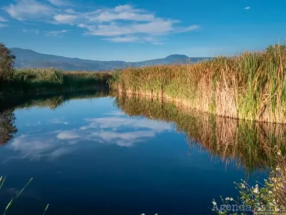 Día Mundial de los Humedales: Argentina cuenta con 23 de importancia internacional