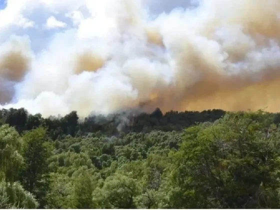 Advierten que el viento puede complicar la lucha contra el fuego en Los Alerces