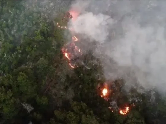 Cuál es el daño ambiental de los incendios en el Parque Nacional Los Alerces