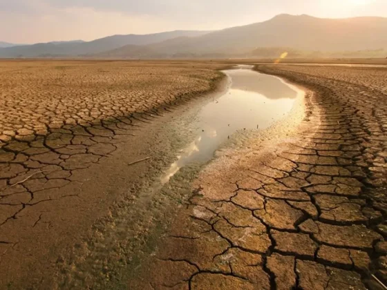 Por primera vez, el planeta superó los 1,5° de calentamiento durante 12 meses seguidos