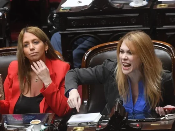 Tres diputados libertarios niegan haber firmado el proyecto para derogar la ley de aborto