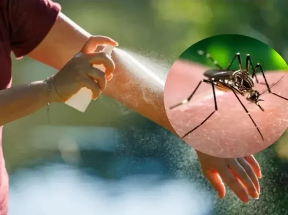 Dengue: ¿Sirve usar shampoo como repelente para combatir a los mosquitos?