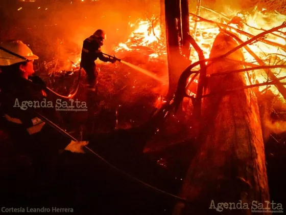 PÁNICO: Más de 200 hectáreas afectadas por el voraz incendio en Circunvalación Oeste