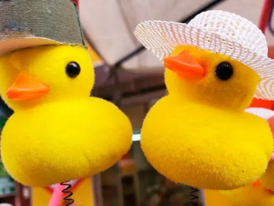 Los patitos, en la cabeza: de dónde viene la nueva moda que empezó a ser tendencia