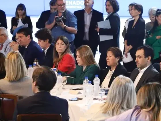 Ley de Bases y paquete fiscal: una por una las últimas modificaciones que pidió la oposición en el Senado para dar dictamen