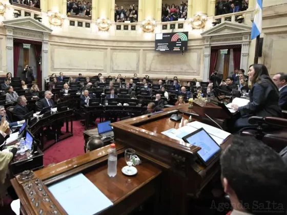 El Senado aprobó el paquete fiscal en general y discuten los artículos clave en particular