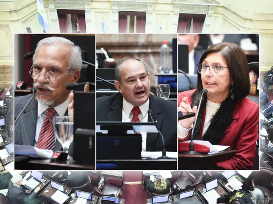 Ley Bases aprobada: así votaron los senadores salteños