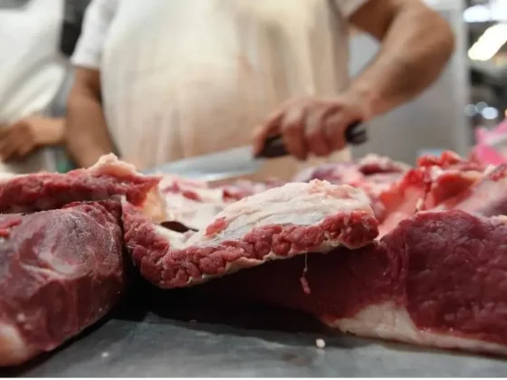 Cayó  el consumo de carne vacuna y está en niveles mínimos históricos