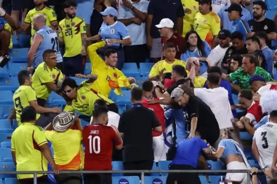 Video: tremenda pelea en la tribuna con jugadores de Uruguay y golpe a Darwin Núñez