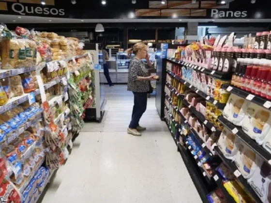 La inflación de junio fue de 4,6% y en los últimos doce meses acumuló 271,5%