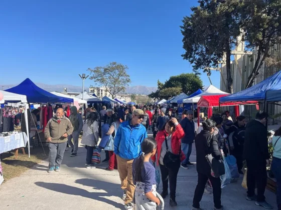 La 2° edición de la “Expo mercado” tendrá lugar en el estadio Padre Martearena