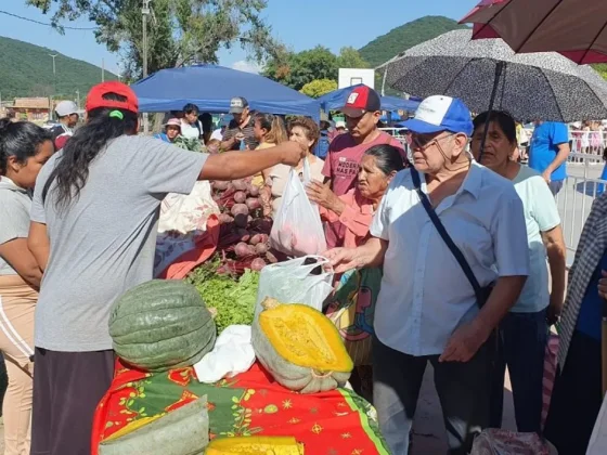 Con más de 800 emprendedores se realizará la 2° “Expo mercado”