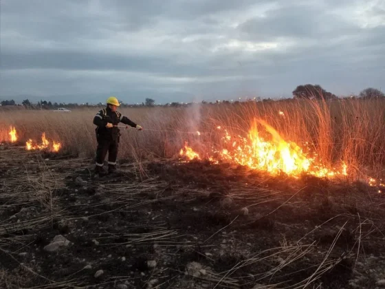 Incendios forestales: el Alerta bajaría de Extremo a Muy Alto