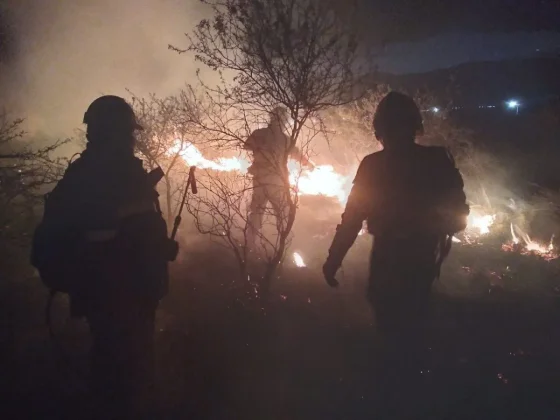 Ayer la Municipalidad intervino en cuatro incendios forestales