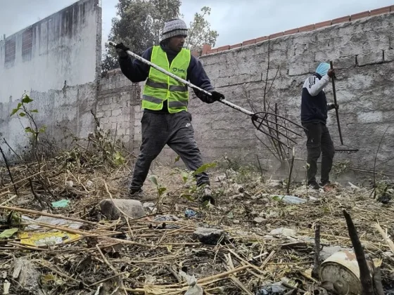 La Municipalidad limpió un nuevo terreno baldío en mal estado