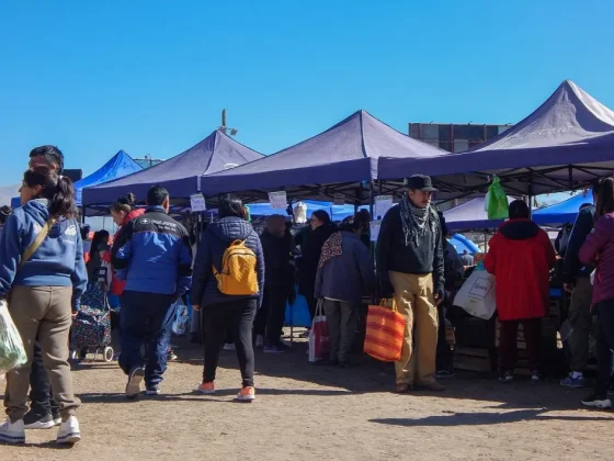 Vuelve “El mercado en tu barrio” a la zona norte