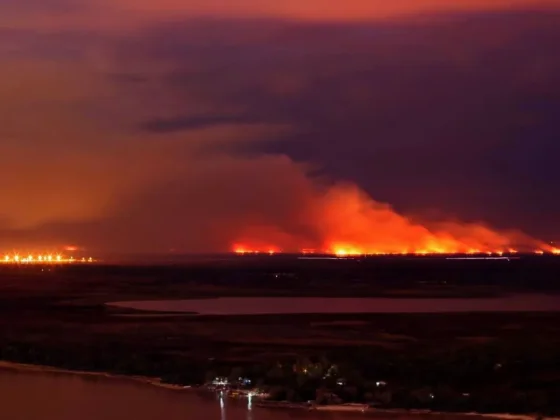 Incendios en el Delta del Paraná: Los expertos advierten sobre una posible “pandemia de fuego”