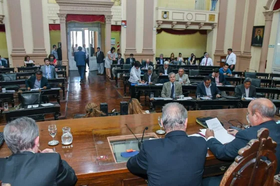 El Senado provincial aprobó la adhesión de Salta al RIGI y las regalías mineras