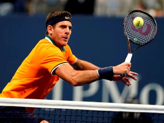 La espectacular marca que mantiene Juan Martín Del Potro hace 15 años en el circuito de tenis