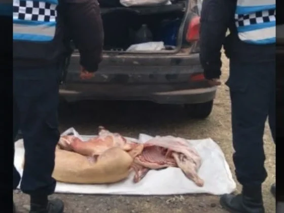 Se secuestraron más de 30 pescados, carne en mal estado y una réplica de arma de fuego