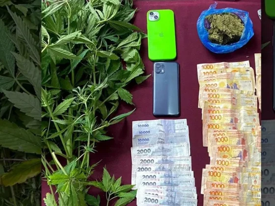 Tras un allanamiento detuvieron a un hombre y secuestraron más de 600 dosis de marihuana