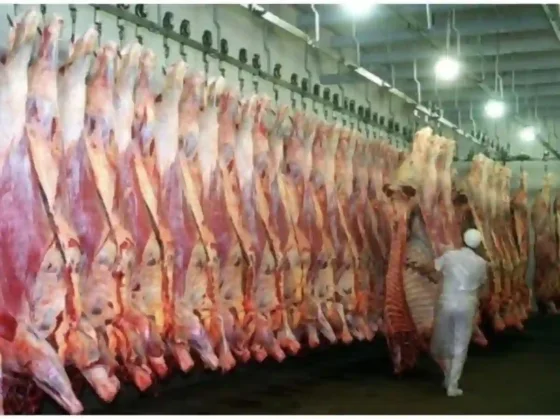 Argentina expande exportaciones de carne a China