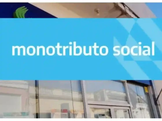 Un grupo de monotributistas no cobrará más SUAF de Anses