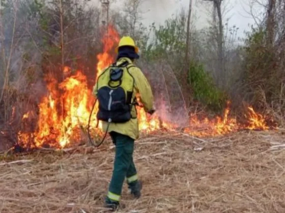 Intenso trabajo de lucha contra incendios forestales en Orán