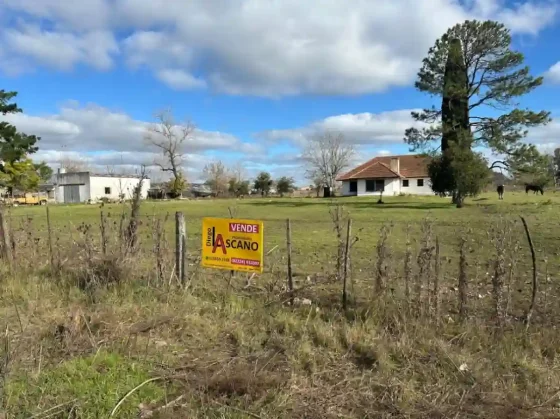 El blanqueo de capitales favorece la venta de campos y propiedades rurales