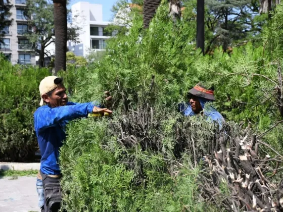 Comenzaron las tareas de parquización y acondicionamiento integral en plaza Güemes