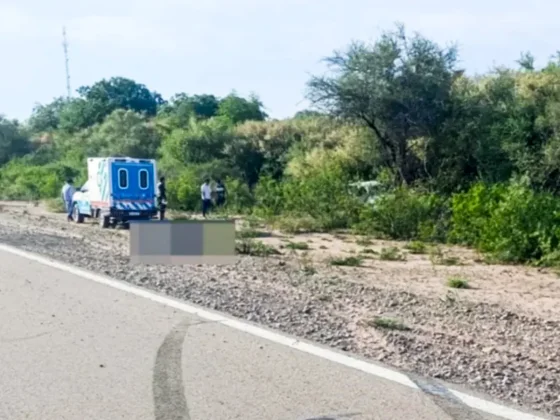 Dos muertos en un brutal accidente sobre ruta salteña