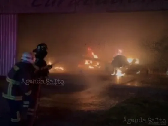 Chile: un grupo radical mapuche incendió cuatro avionetas en La Araucanía